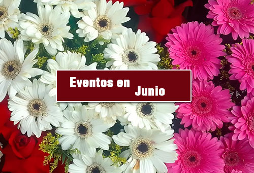 flores en guatemala para eventos en junio