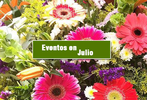 flores en guatemala para eventos en julio